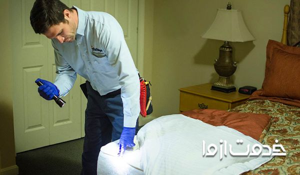 سمپاشی با بهترین سم برای از بین بردن ساس